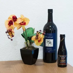  Apartamento Bilonic